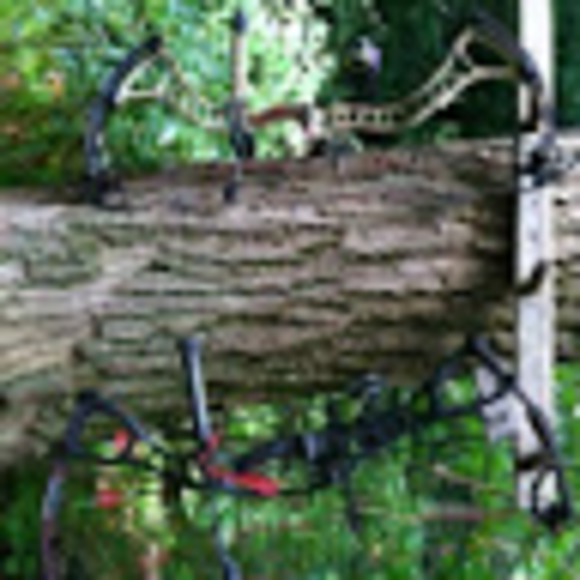 Meet your Posher, Jacob - Picture 1 of 1